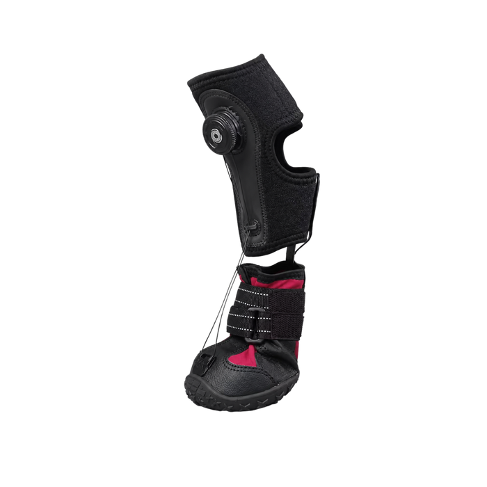 No Knuckling Dog Boot with Anti Slip Sole