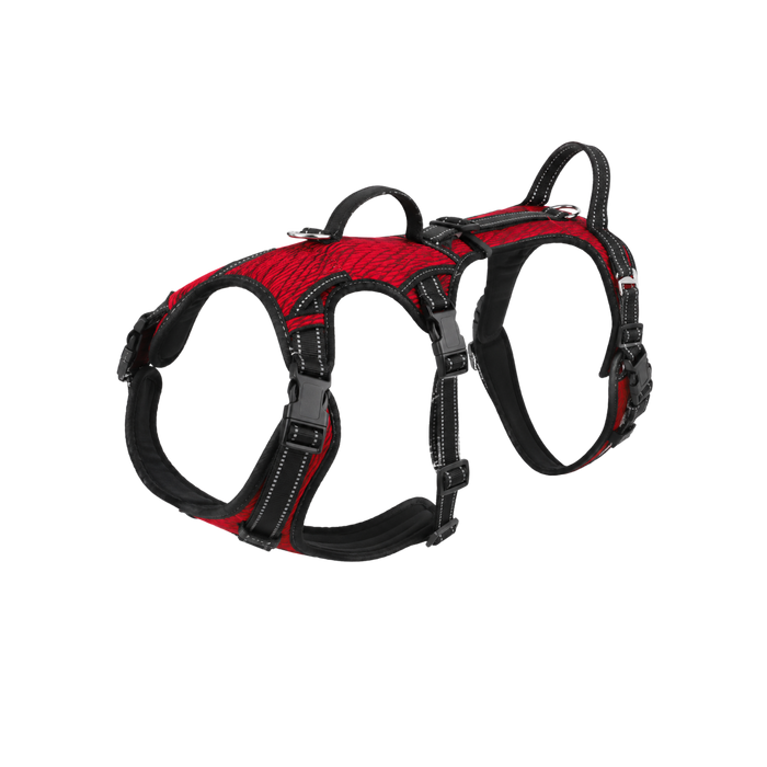Full Body Dog Lift and Walking Harness