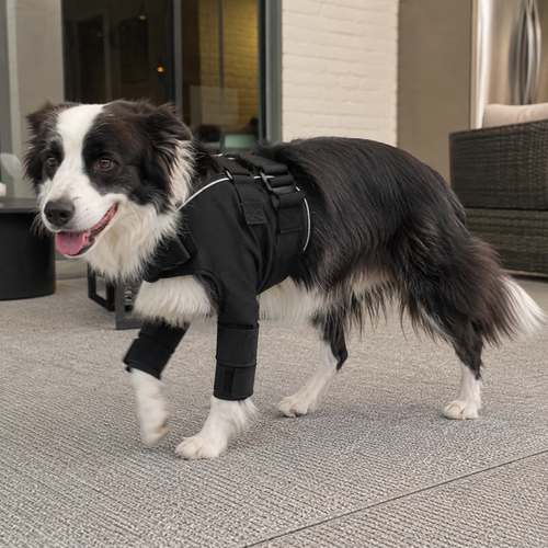 Adjustable Dog Shoulder Brace for Front Leg Support, view 2