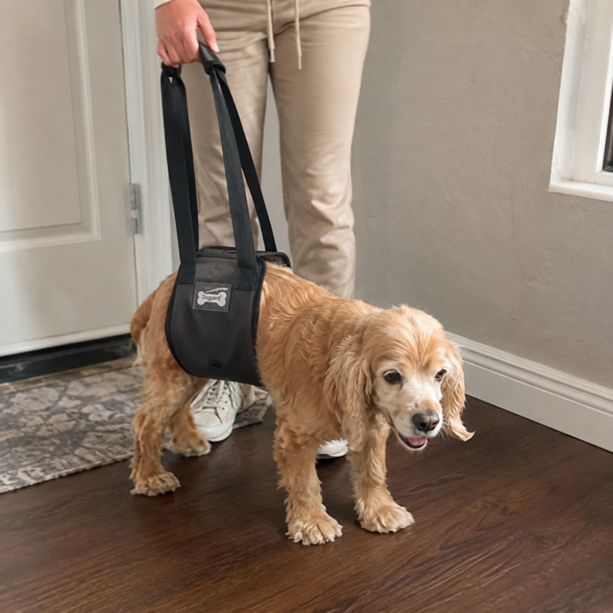 Quick Release Dog Rear Lift Sling-The Pet Mobility Store