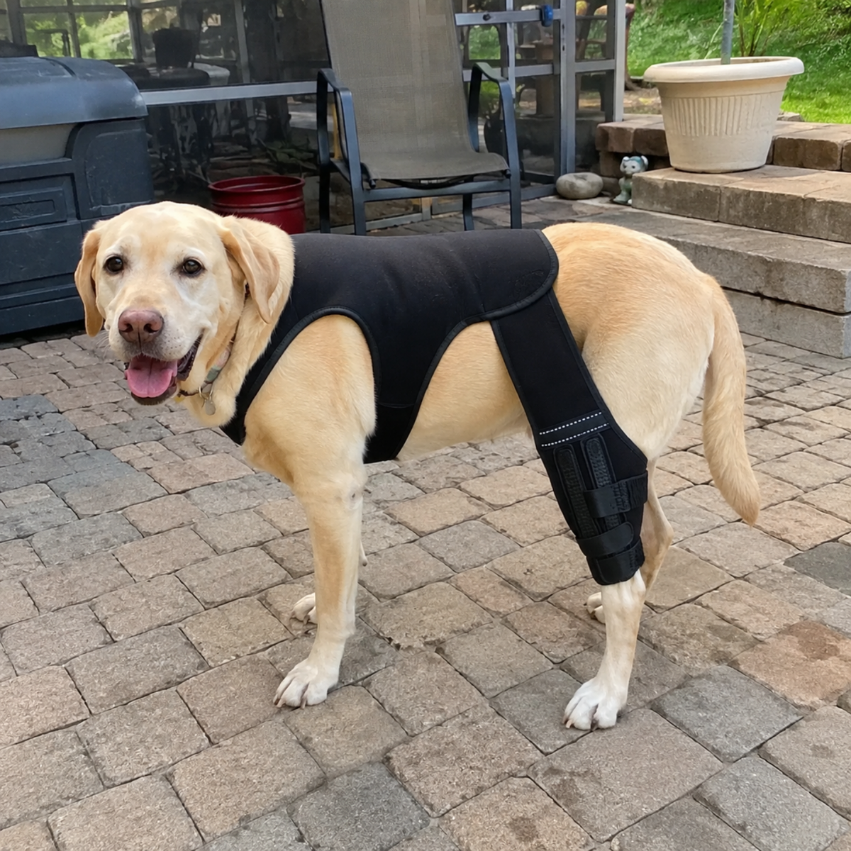 Breathable Dog Knee Brace for CCL Support, view 3