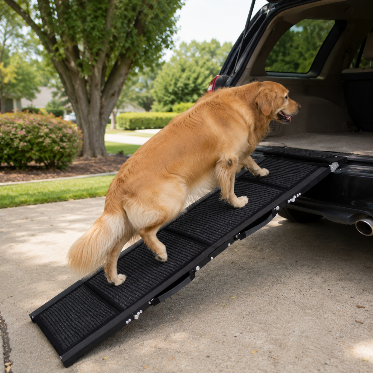 Folding Car Ramp for Large Dogs - 250 lb Capacity-The Pet Mobility Store