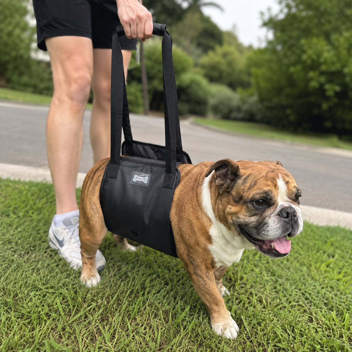 Quick Release Dog Rear Lift Sling-The Pet Mobility Store
