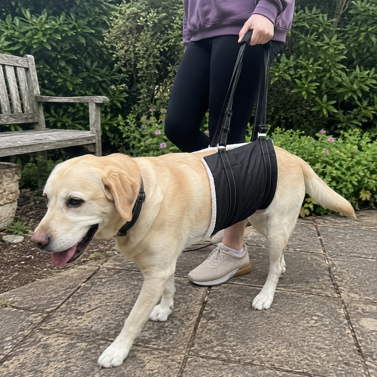 Cotton Dog Lift Sling for Back Leg Support, view 3