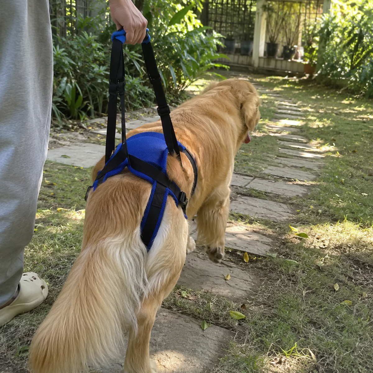 Adjustable Dog Rear Lift Harness, view 4