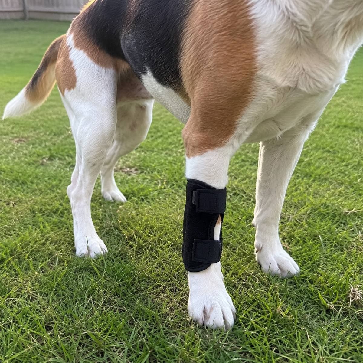 Dog Hock Brace Sleeve-The Pet Mobility Store