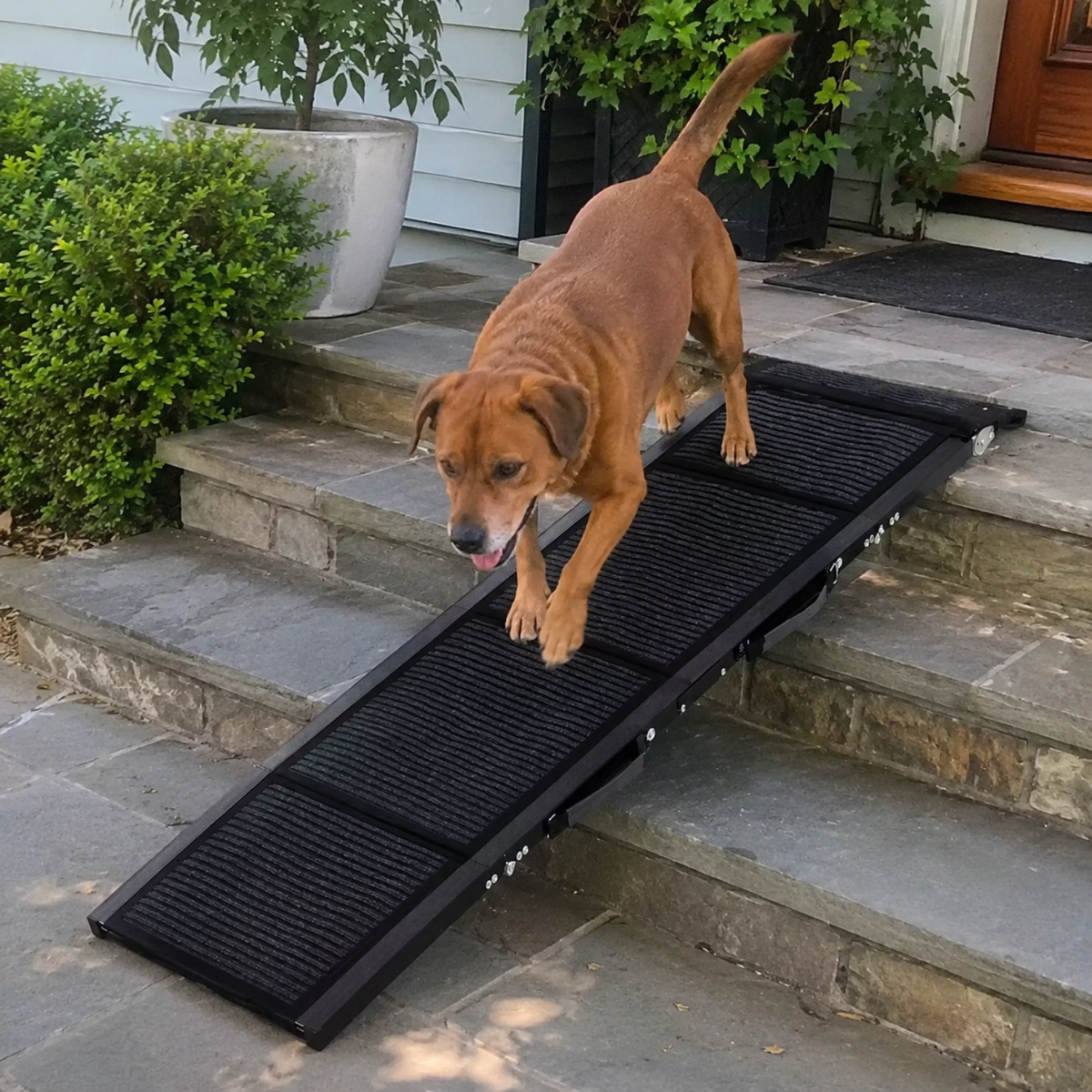 Folding Car Ramp for Large Dogs - 250 lb Capacity-The Pet Mobility Store