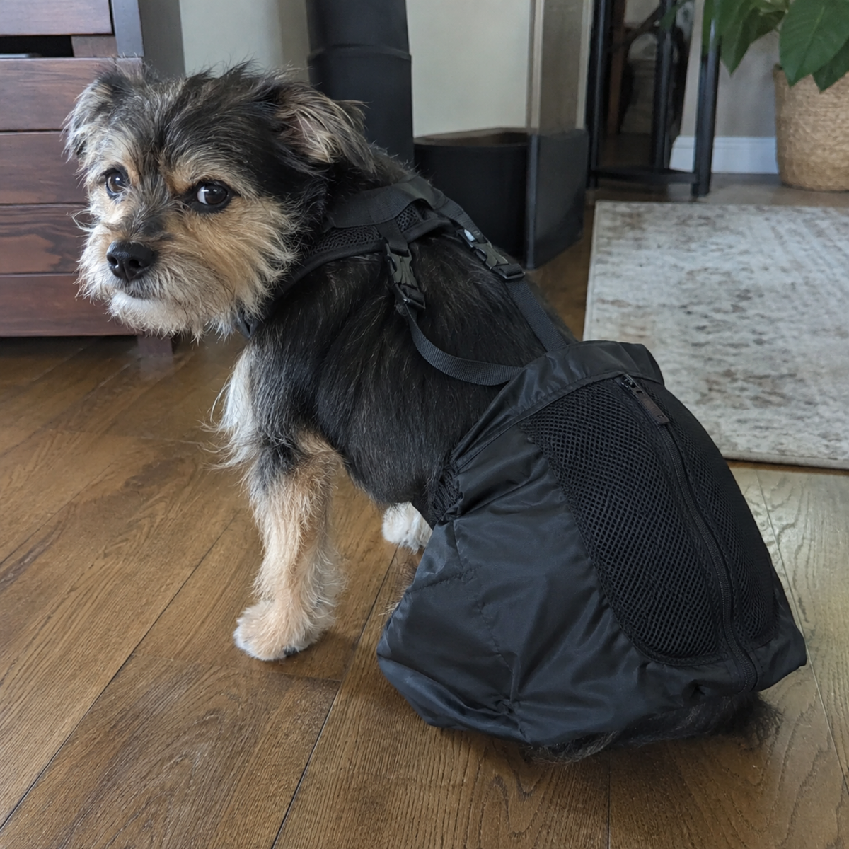 Protective Dog Drag Bag for Rear Leg Paralysis, view 4