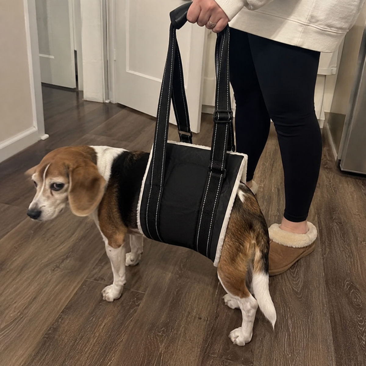 Cotton Dog Lift Sling for Back Leg Support, view 4