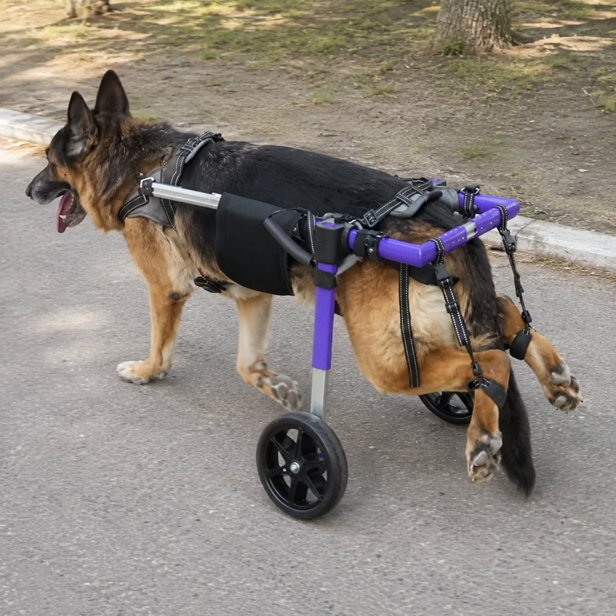 Heavy Duty Rear Support Dog Wheelchair, view 4