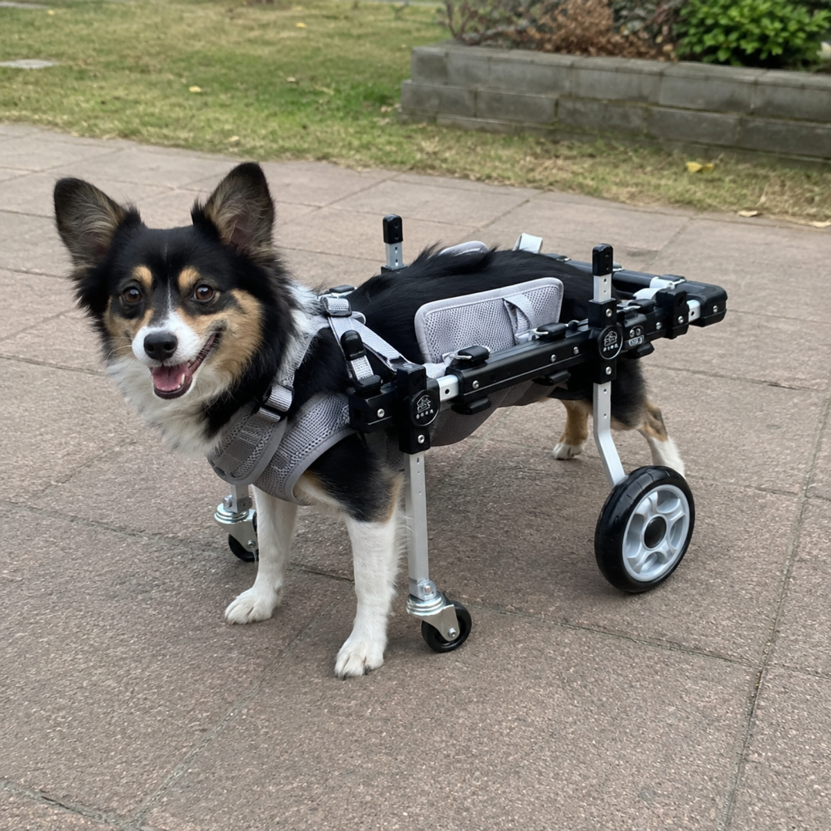 Convertible 2 or 4 Wheel Dog Wheelchair, view 5