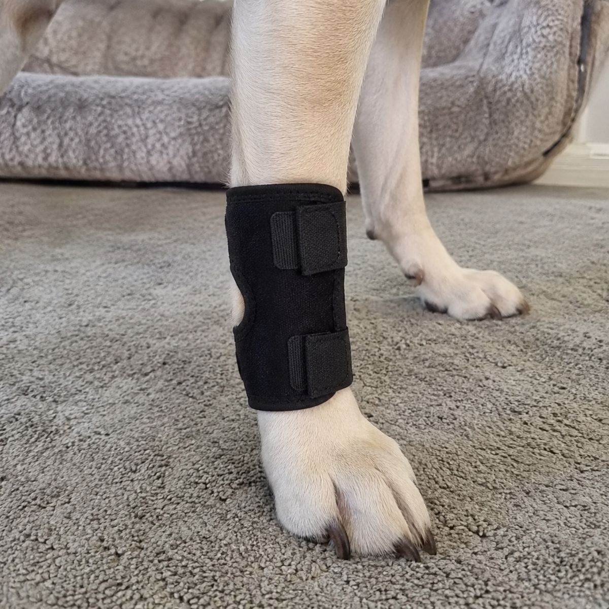 Dog Hock Brace Sleeve-The Pet Mobility Store