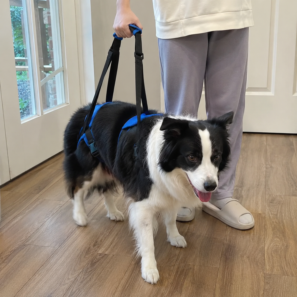 Adjustable Dog Rear Lift Harness, view 5