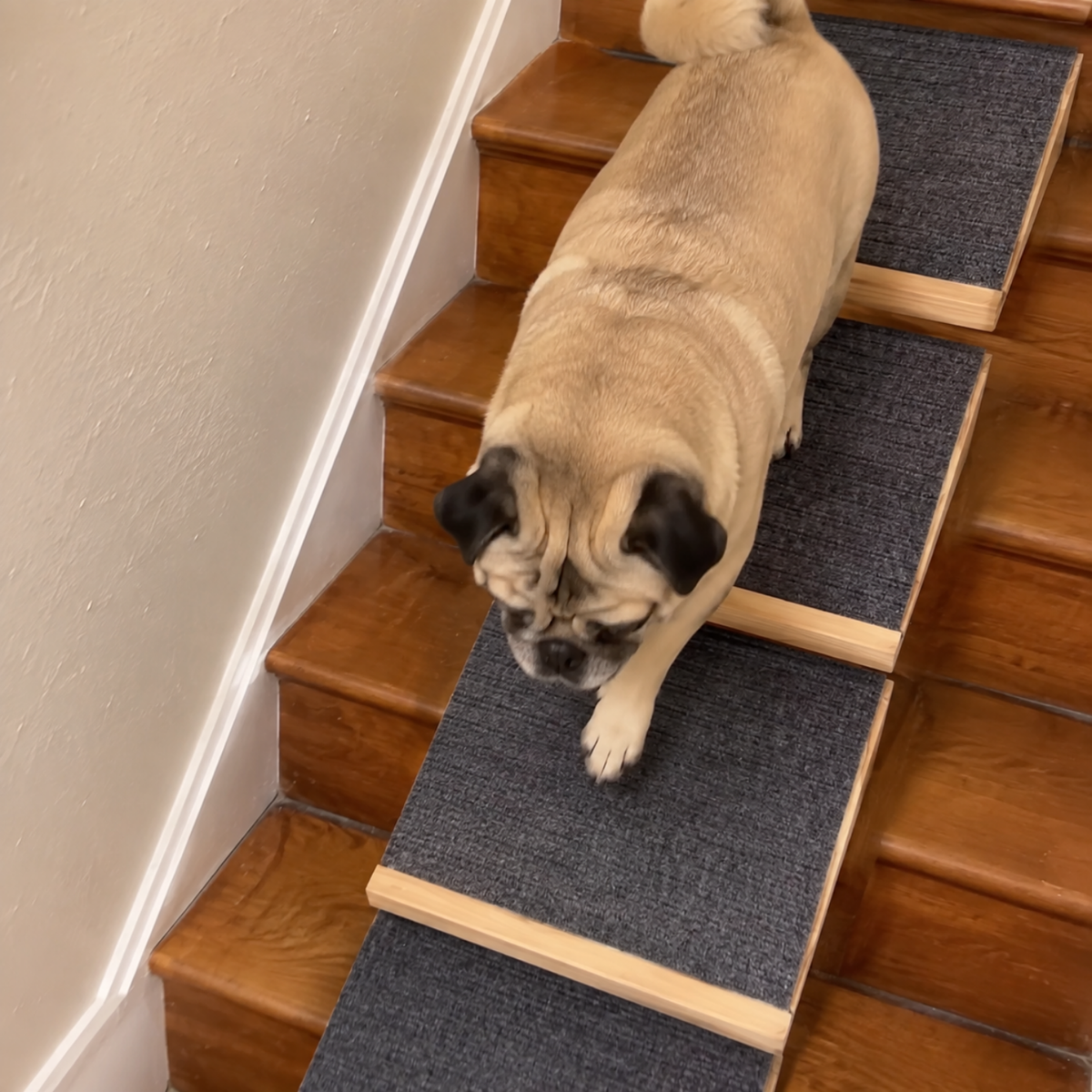 Low Angle Dog Stair Ramps, Set of Two-The Pet Mobility Store